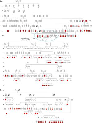 Whole-Exome Sequencing Reveals a Rare Variant of OTOF Gene Causing Congenital Non-syndromic Hearing Loss Among Large Muslim Families Favoring Consanguinity